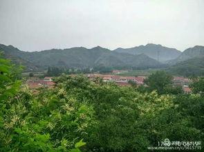 遵化最新爆料2019,揭秘那年那月那些事儿